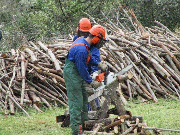 Dos operarios cortan madera.