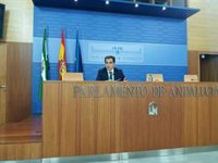 PP-A cree que se debe mantenerse la actividad en el Parlamento, tras el escrito de Vox sobre su ausencia