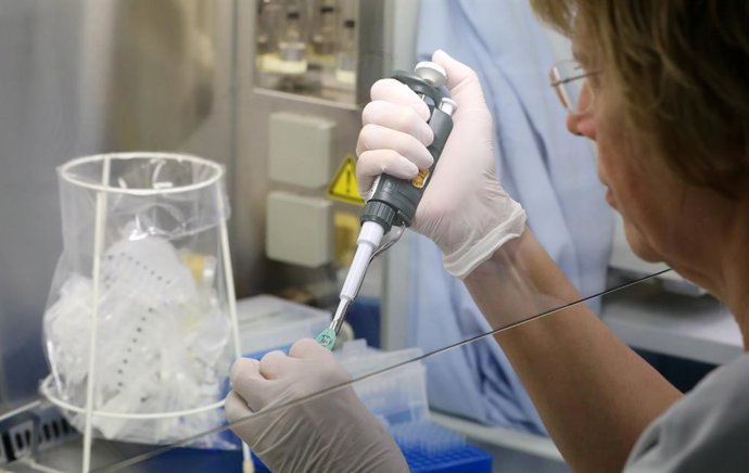 Coronavirus.- Bélgica confirma su primera muerte de un paciente con coronavirus,