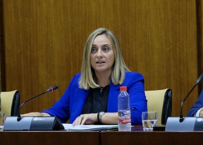 La consejera de Fomento, Marifrán Carazo, en una imagen de archivo de una comparecencia en comisión parlamentaria.