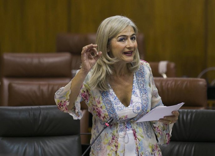 La consejera de Cultura y Patrimonio Histórico, Patricia del Pozo, en el Pleno del Parlamento.