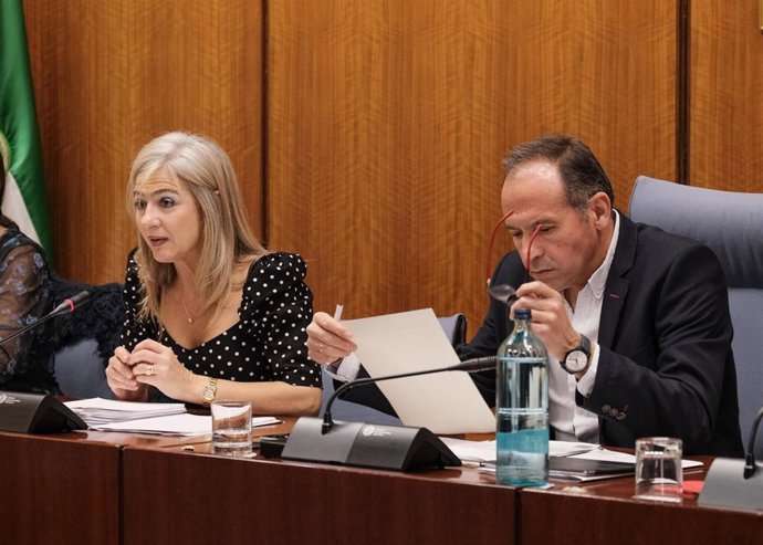 Comparecencia de Patricia del Pozo en la comisión de cultura