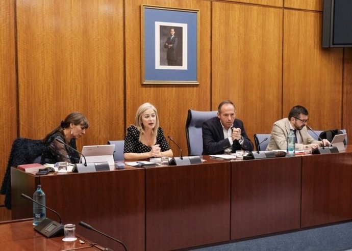 Patricia del Pozo en la Comisión de Cultura en el Parlamento