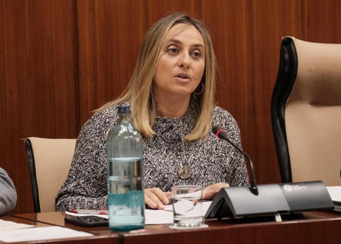 La consejera de Fomento, Marifrán Carazo, este miércoles durante su comparecencia parlamentaria en comisión.