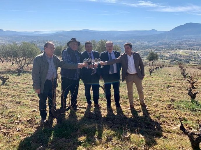 La Diputación de Ávila apoya con 50.000 euros a la Denominación de Origen Vinos 