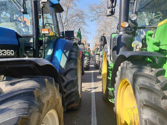 Tractores en la manifestación por la situación del campo en Valladolid.