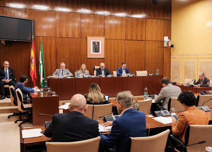 Imagen de la comparecencia este miércoles en comisión parlamentaria de la consejera de Fomento, Marifrán Carazo.