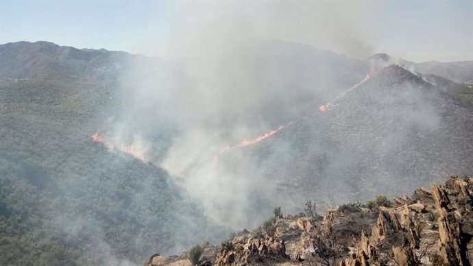 Incendio en la zona de Río Chico de Berja (Almería)