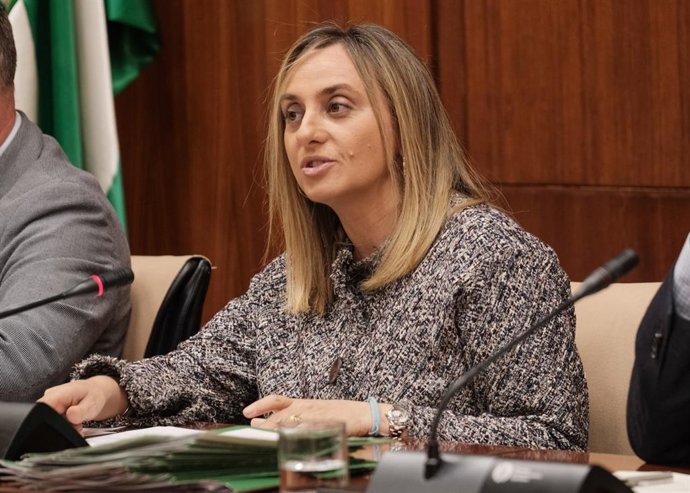 La consejera de Fomento, Marifrán Carazo, este miércoles durante su comparecencia en comisión.