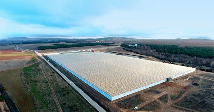 Imagen de archivo de Aleia