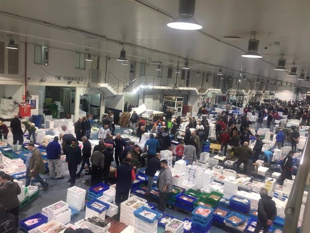 Unidad Alimentaria de Pescado y Marisco en Marcamálaga