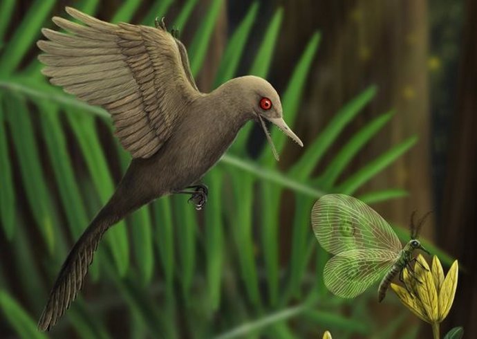 Un dinosaurio tamaño colibrí ilustra la evolución de las aves