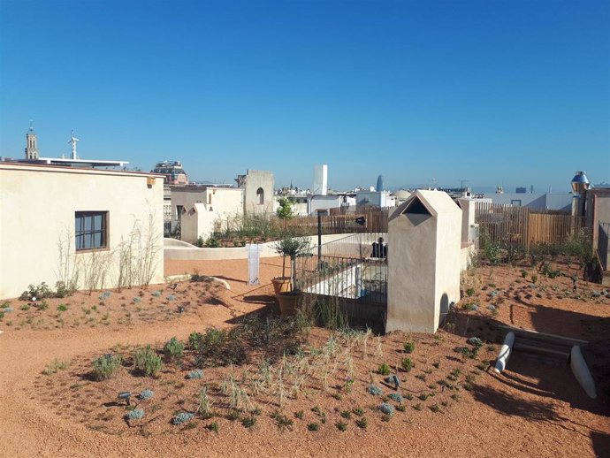 La azotea verde del número 1 de la calle Llauder