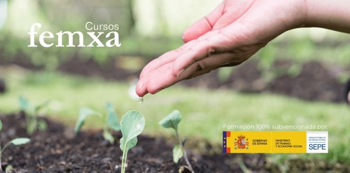 Cursos online gratuitos para trabjadores y autónomos subvenciona