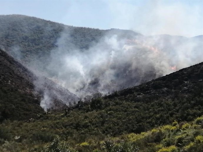 Bomberos trabajan en la extinción del fuego en Lubrín