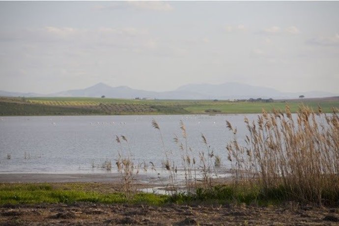 Laguna Ruiz Sánchez, en la provincia de Sevilla.