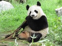 Cierra el Zoo y el Parque de Atracciones