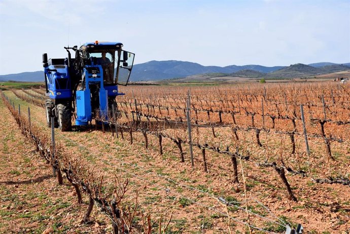 La primera máquina de prepoda de vid que recoge los restos para su uso como biomasa ha sido presentada en público este jueves, 11 de marzo, en un viñedo de la D.O.P. Cariñena.