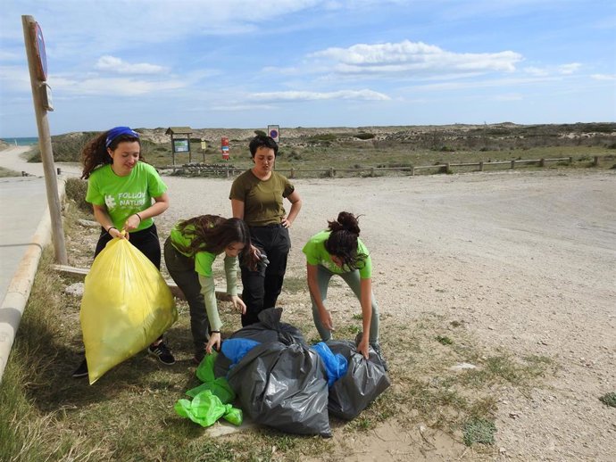 Proyecto para renaturalizar las playas de l'Albufera