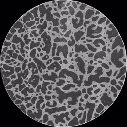 Una estructura de red a gran escala formada in vitro por células cancerígenas. El diámetro de la imagen es de 14 mm.