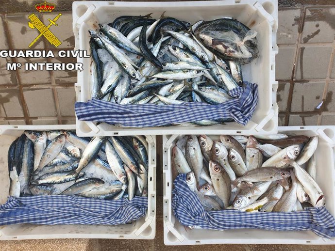 Material intervenido