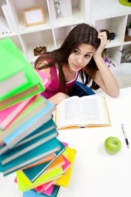 Un estudio determina que la proteína NCAM2 es clave para la capacidad de aprendi