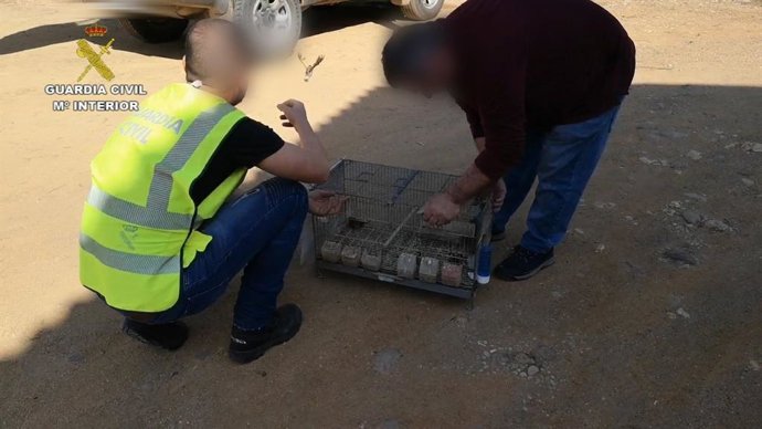 [Grupohuelva] Remitiendo Np Opc Huelva " La Guardia Civil Interviene Un Total De 30 Aves Fringílidas Que Habían Sido Capturadas Ilegalmente En La Localidad Gibraleón"