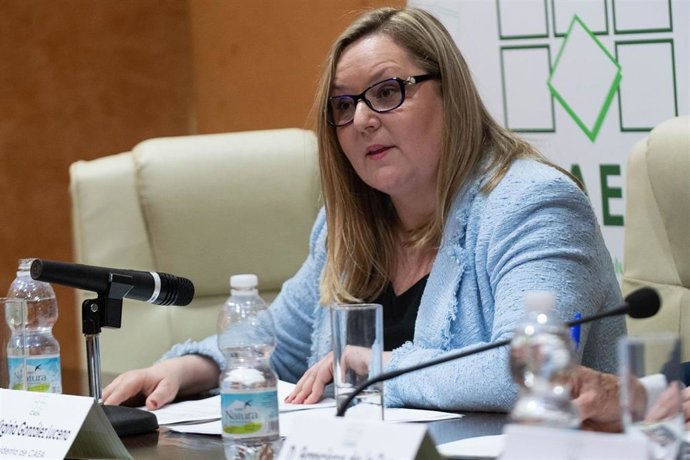 El sector andaluz de distribución comercial de alimentación y perfumería contabiliza un 3-4% más de facturación en 2019