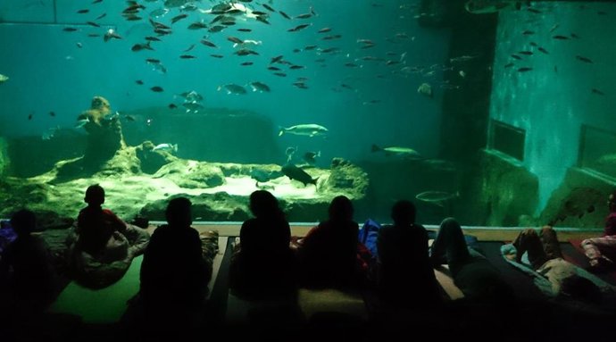 Público en el acuario de Sevilla