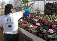 Justicia establece protocolos de actuación para todos los centros de menores infractores ante el coronavirus