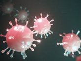 Foto: La FDA emite una aprobación de emergencia para una prueba automatizada del coronavirus de Roche