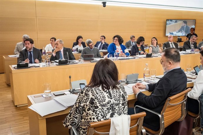 Grupo Insular de CC en el Cabildo de Tenerife