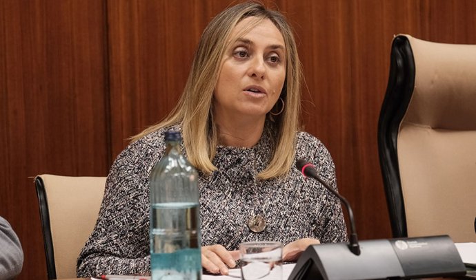 La consejera de Fomento, Marifrán Carazo, durante la comisión parlamentaria.