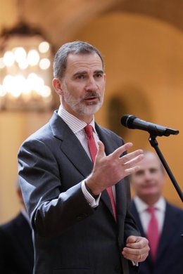 El Rey Felipe VI 