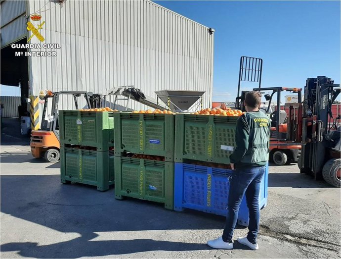 Naranjas inspeccionadas por la Guardia Civil.