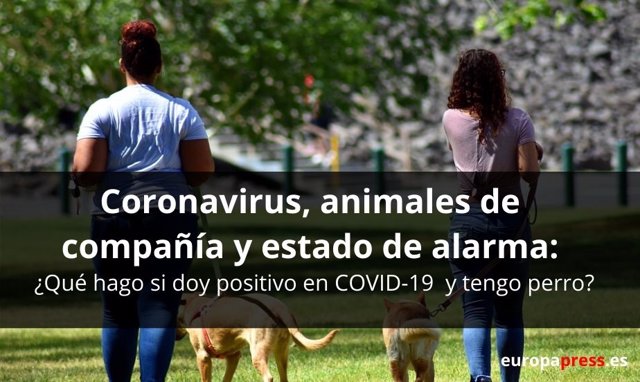 Coronavirus, animales de compañía y estado de alarma