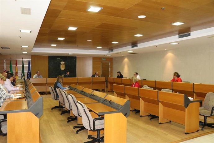 Comisión de medidas de apoyo a mayores de El Ejido (Almería)