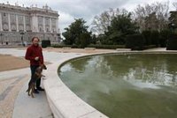 La Comunidad recuerda que se debe pasear a los animales sin formar grupos de personas