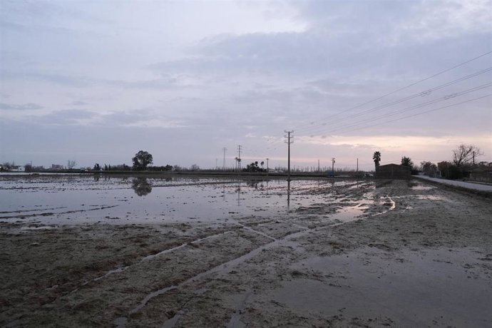 Zona cercana a Riumar (Tarragona), en el Delta del Ebro, inundada por la borrasca 'Gloria', en Riumar/Tarragona/Cataluña (España) a 24 de enero de 2020.