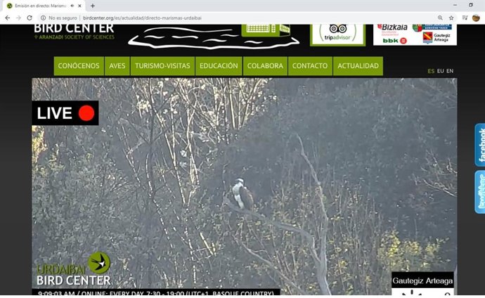 Urdaibaiko zentroko webcam