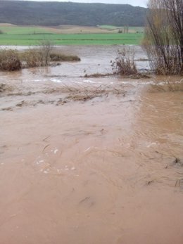 El río Linares se desborda en varios puntos a su paso por Riba de Saelices