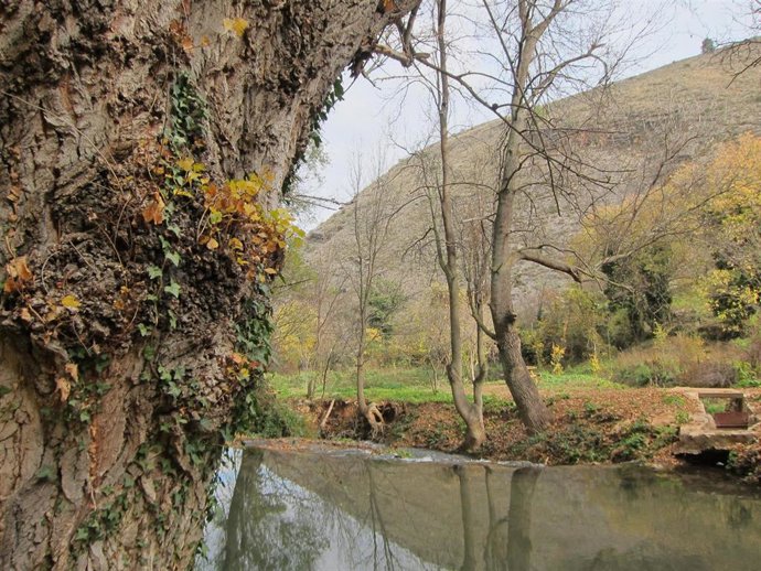 Foto de archivo del río Piedra a su paso por la provincia de Zaragoza.