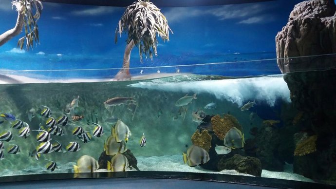 Acuario de Gijón