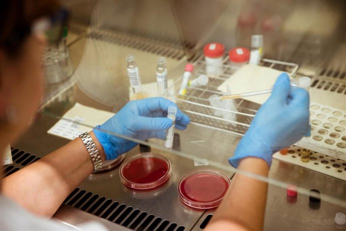 Experimento de laboratorio