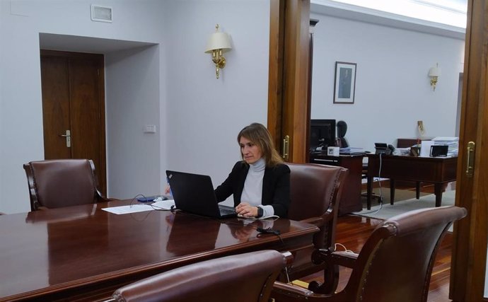 Lucas participa en una videoconferencia con el ministro de Ciencia y el resto de CCAA.