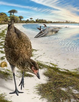 Identifican un fósil de pájaro moderno que vivió entre los dinosaurios