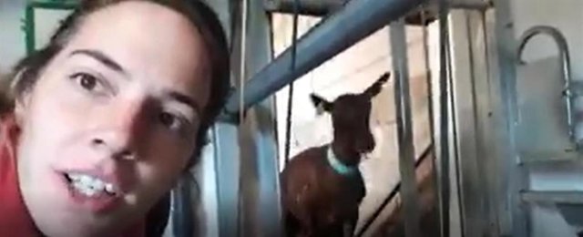 La joven ganadera de Alicante María Julián desde su explotación