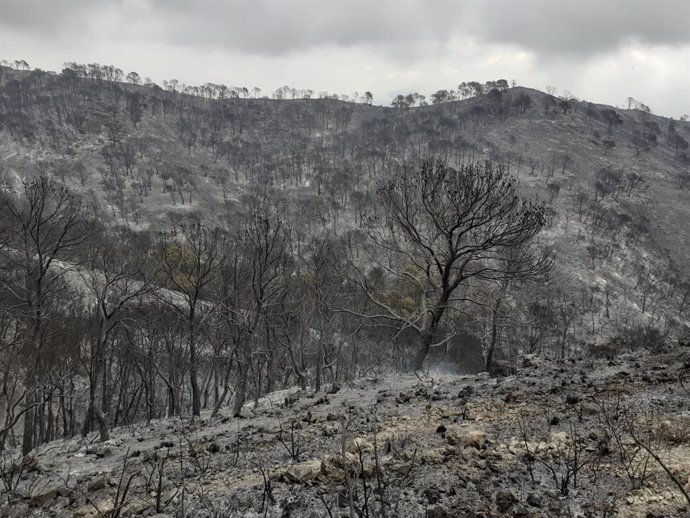 Imagen de la superficie calcinada en el incendio de Los Guajares