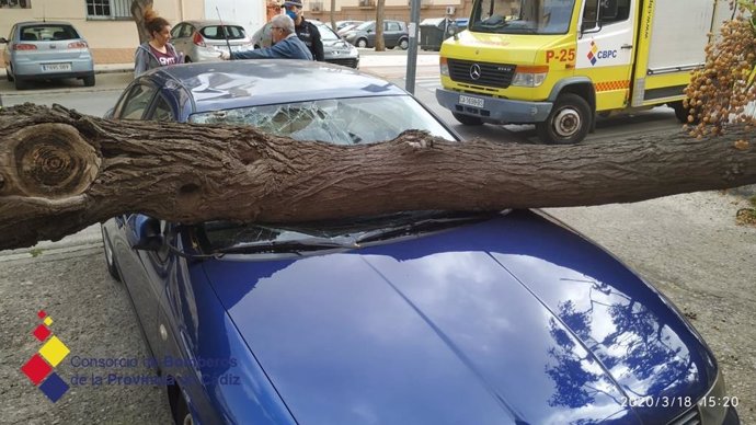 Caída de la rama de un árbol sobre un coche por el viento en San Fernando (Cádiz)