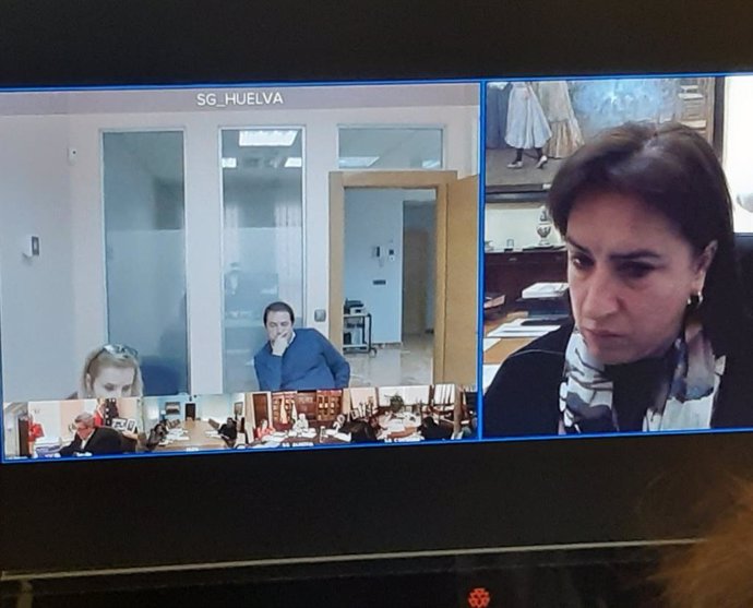 Reunión por videoconferencia entre Sandra García y los subdelegados en Andalucia